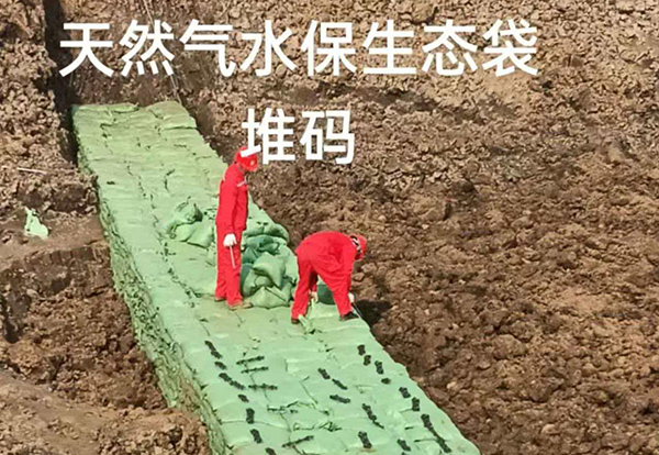 生态袋