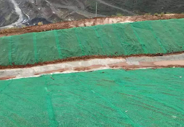 三维植被网案例