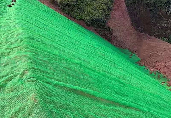 三维植被网案例